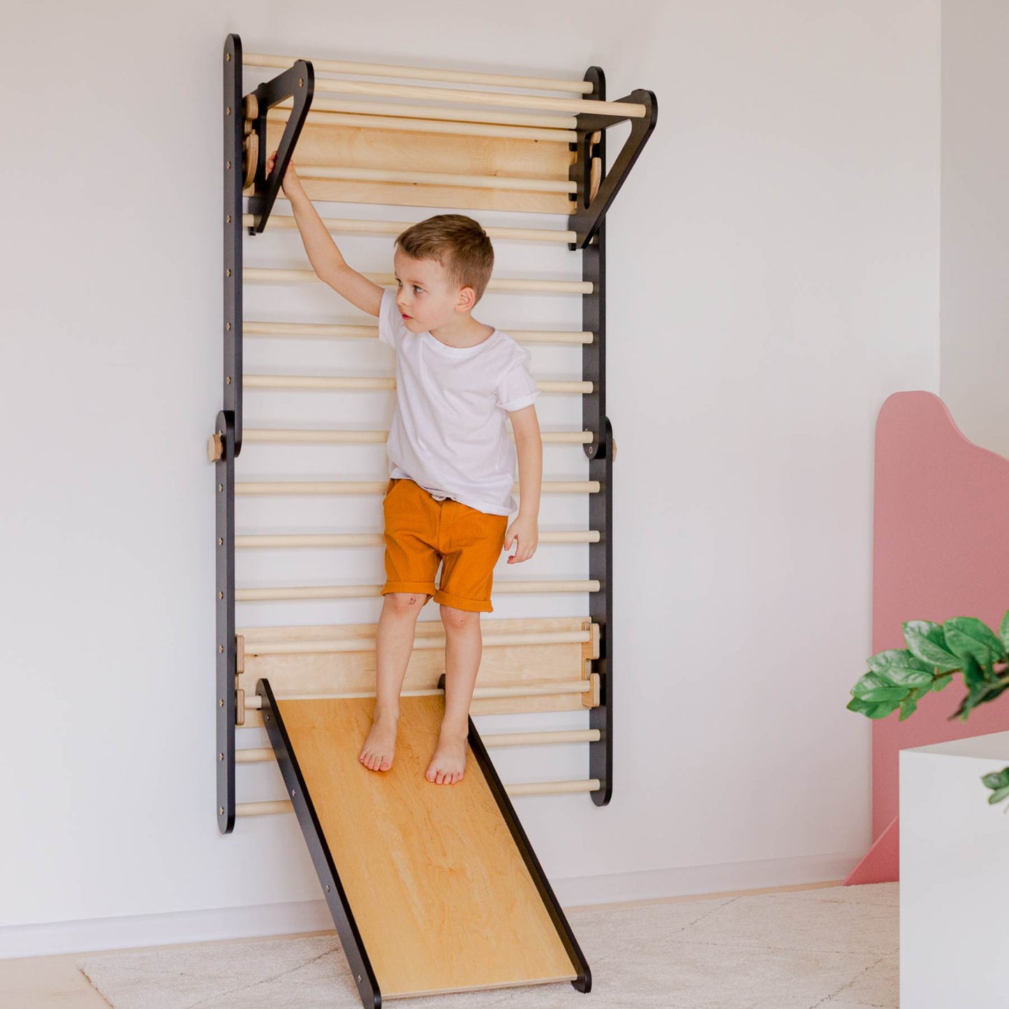 Climbing Triangle - Swedish Ladder set with a slide