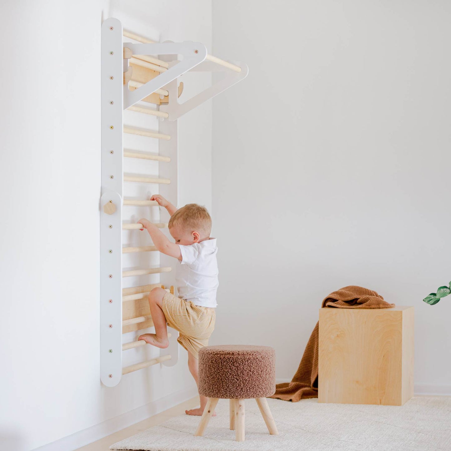 Climbing Triangle - Swedish Ladder set