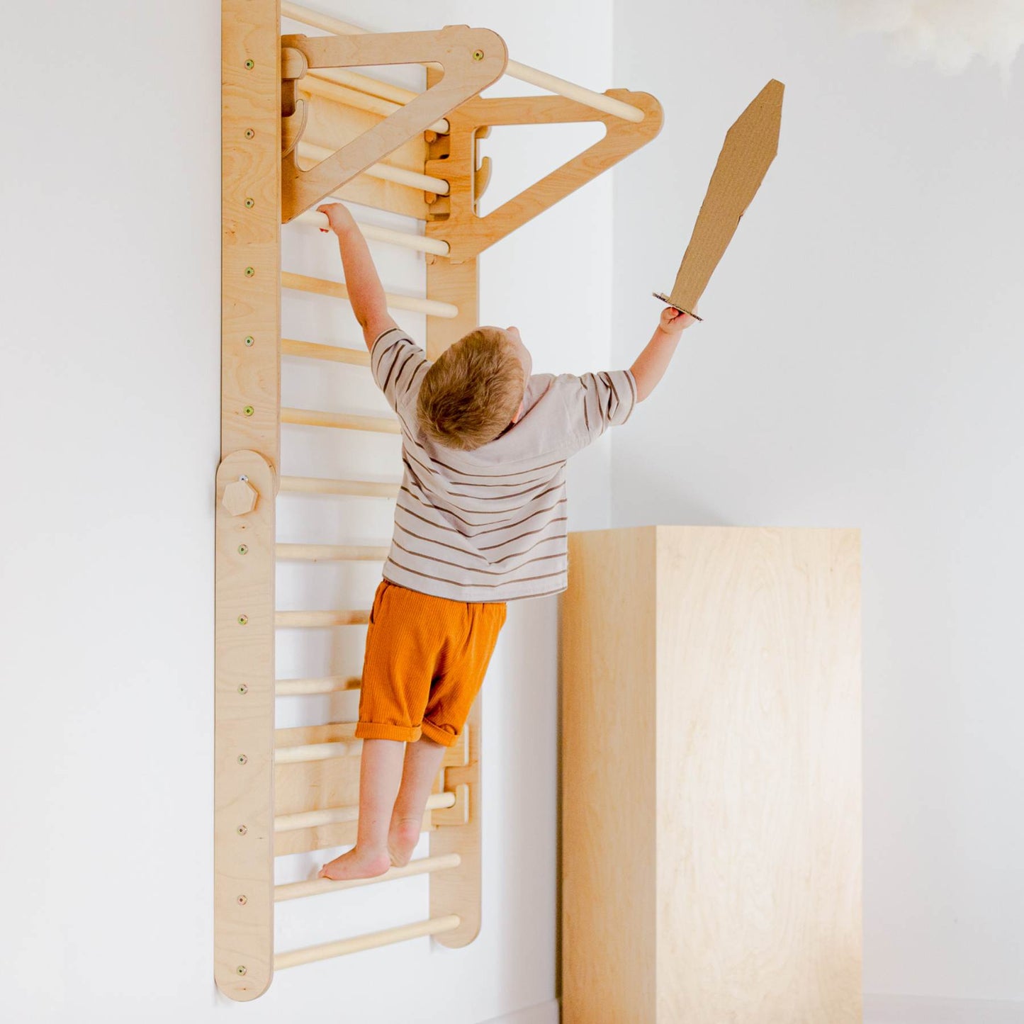 Climbing Triangle - Swedish Ladder set