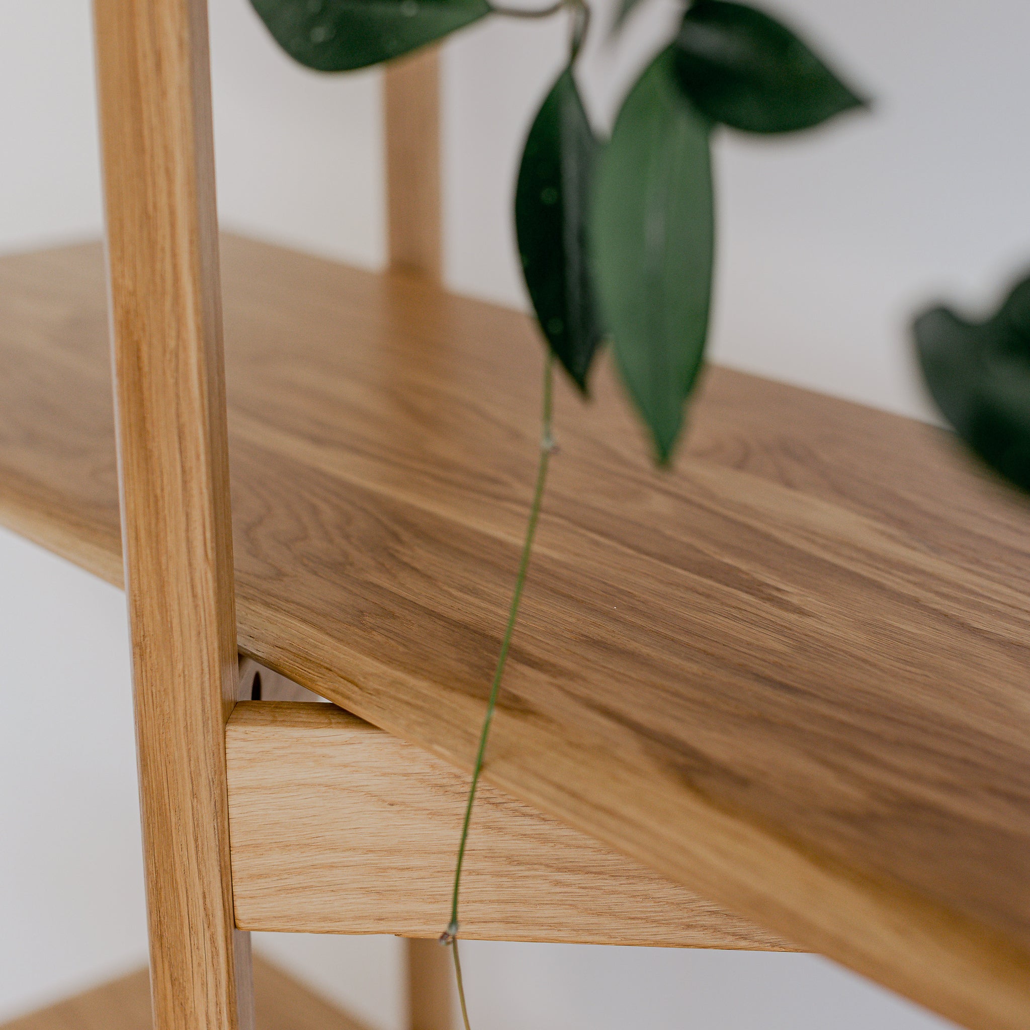 web202605DuckWoodworks 063 X4