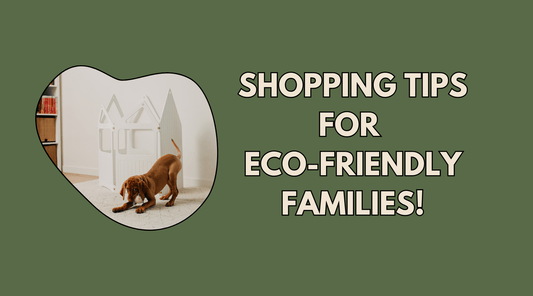 Black Friday and Cyber Monday Shopping Tips for Eco-Friendly Families - Duck Woodworks