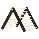 Climbing Triangle - Duck Woodworks